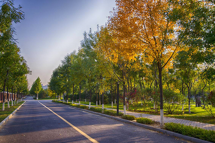 202106041622794818734444.jpg 201709201331488094.jpg